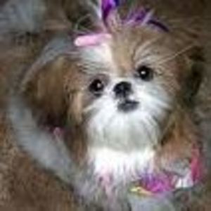 Meet your Posher, Deborah